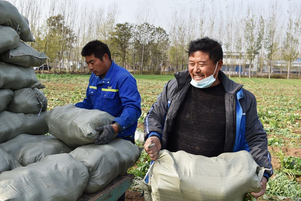 通许县公路运输管理事业单位最新项目研究报告发布