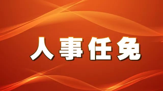 新电村人事任命动态与未来展望