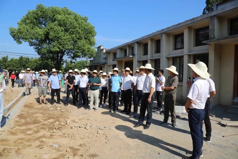 上华镇新星项目，引领地区发展的强大引擎