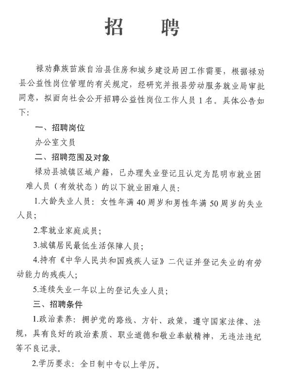 山关村委会最新招聘信息全面解析