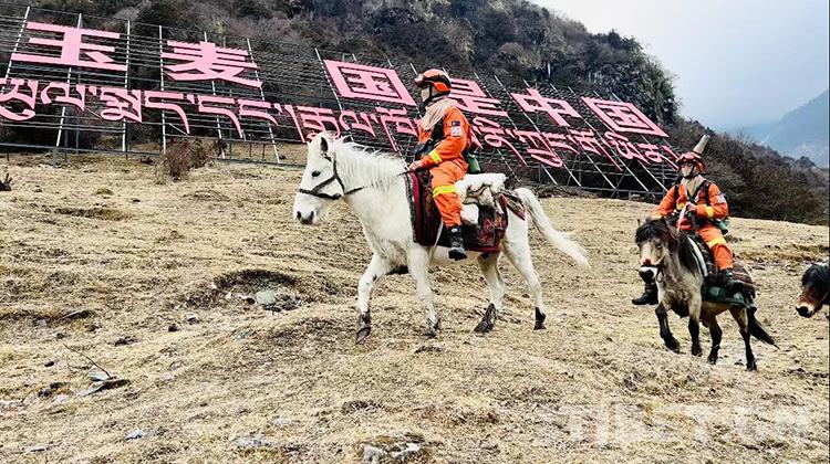 隆子县市场监督管理局最新发展规划概览