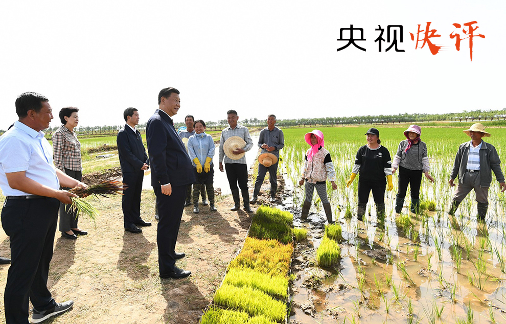 牛川村民委员会最新交通新闻，迈向现代化交通体系步伐加速