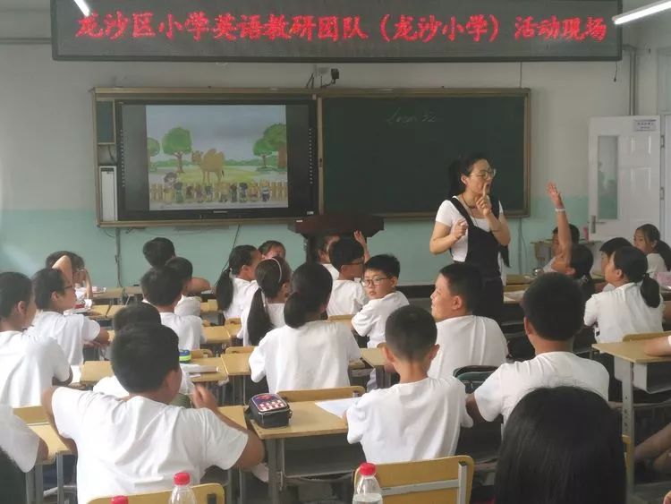 龙沙区小学最新动态报道