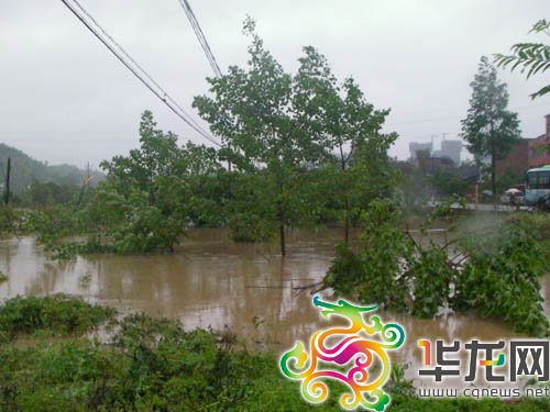 桂溪村新领导，引领繁荣先锋，塑造乡村未来