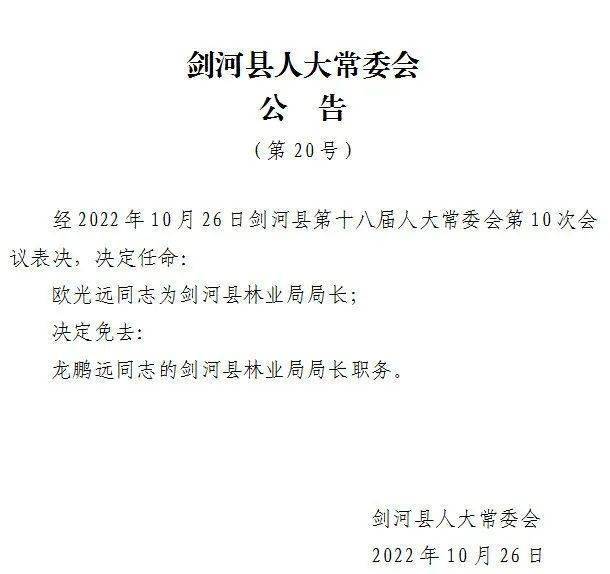 刘河乡人事任命揭晓，开启地方发展新篇章