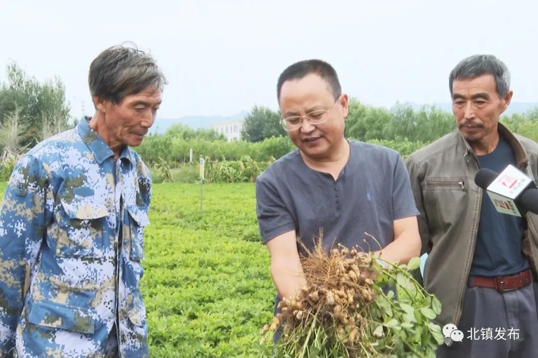 经济作物示范场天气预报更新通知