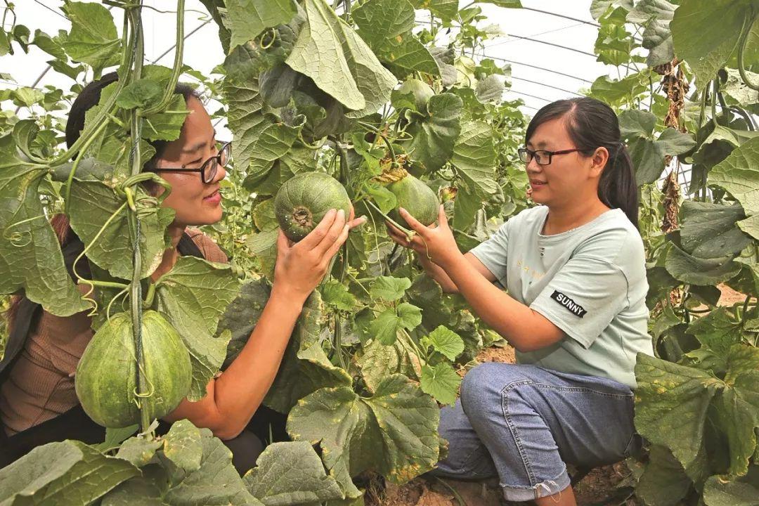 张李乡领导最新概况简介