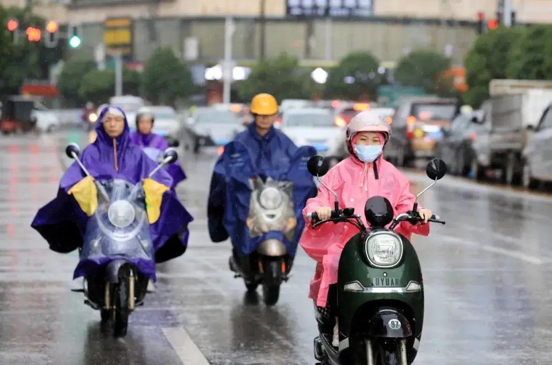 长安乡最新天气预报概览