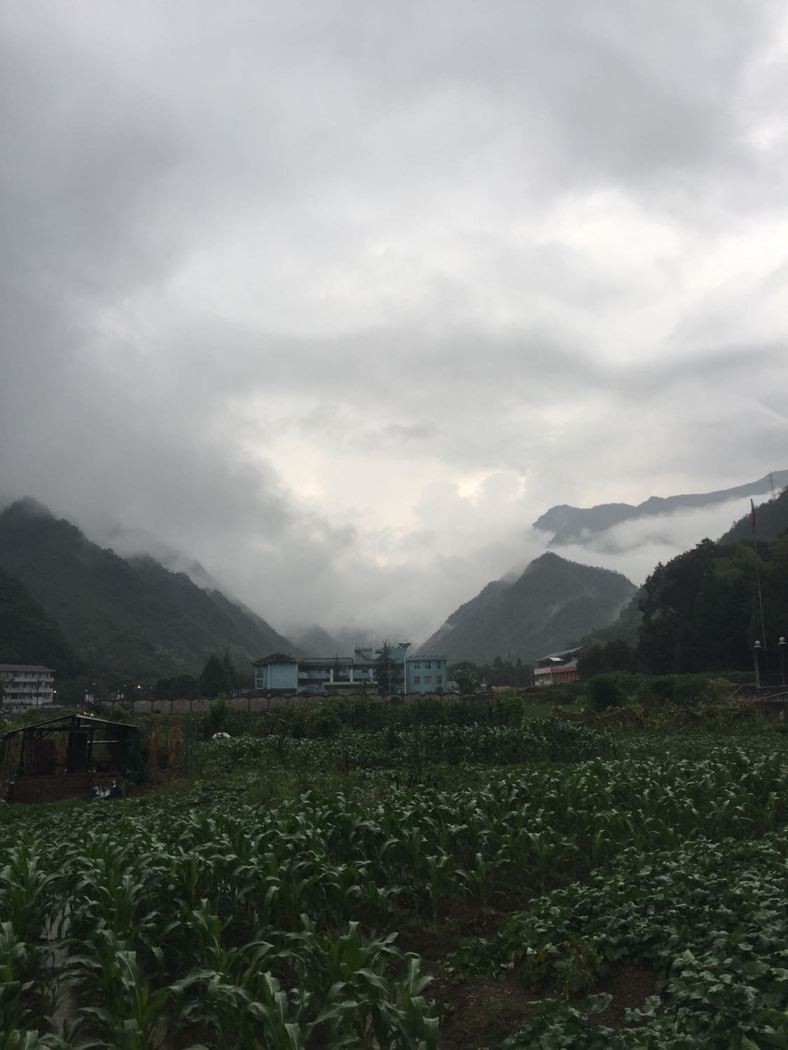 峰源乡天气预报更新通知